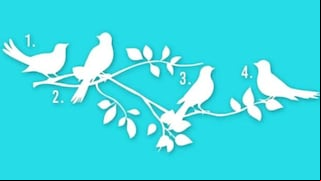 Selecciona un pájaro y averiguarás cuál es tu propósito en la vida