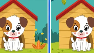Demuestra tu inteligencia encontrando las 5 diferencias en la siguiente imagen