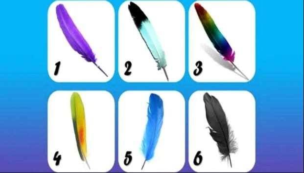 TEST VISUAL | En esta imagen se puede apreciar muchas plumas. Indica cuál es tu favorita. (Foto: namastest.net)