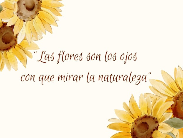 Frases de flores amarillas con significado para dedicar a tu pareja | Foto: Composición / Canva