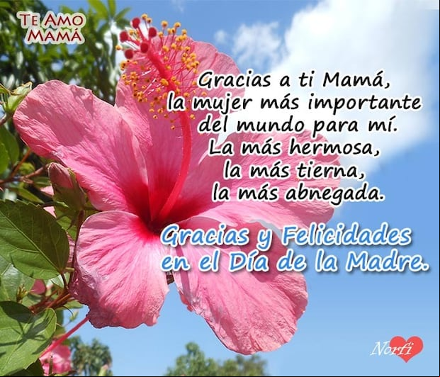 El Día de la Madre se celebra todos los segundos domingos de mayo en diversas partes del mundo. (Foto: Internet)