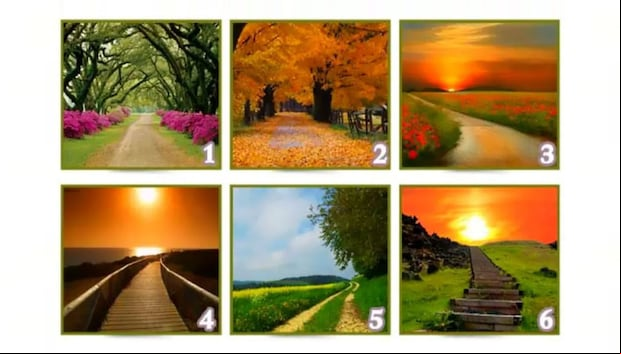 TEST VISUAL | Esta imagen muestra seis caminos distintos. Debes escoger uno. (Foto: namastest.net)