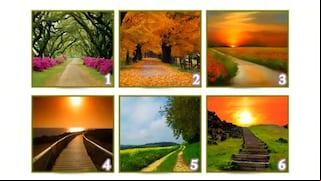 El test visual de los caminos: elige uno y conocerás la clase de persona que eres