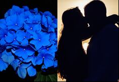 ¿Por qué se obsequian flores azules hoy, 3 de octubre, por el Día del Novio en Chile?