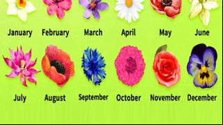 Averigua cómo eres, de acuerdo a la flor que corresponde al mes de tu cumpleaños