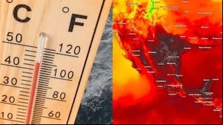 Ola de calor en México: qué temperaturas se esperan, los estados afectados y qué acciones tomar