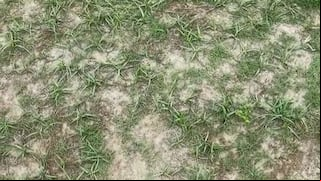 ¡Lamentable! Grave denuncia de Miguel Curiel por el estado del campo en estadio de la Liga 2